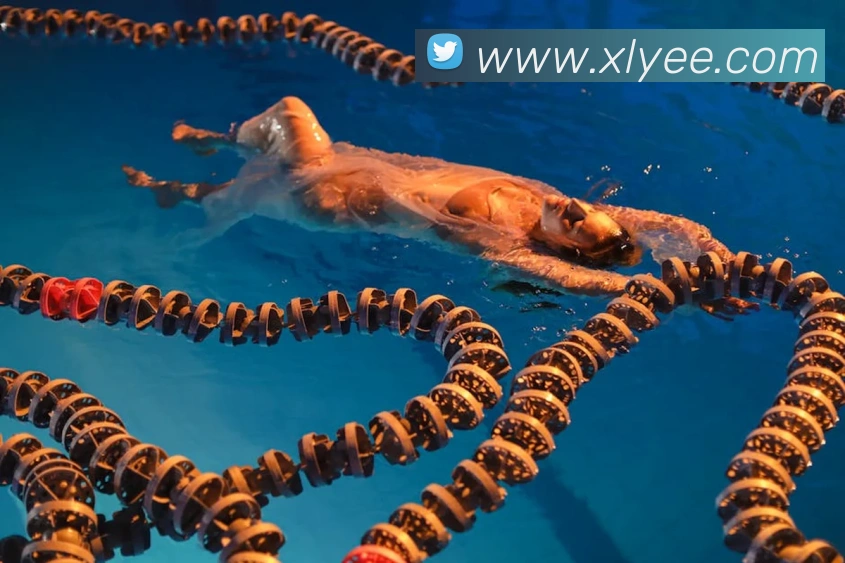 多媒体互动体验